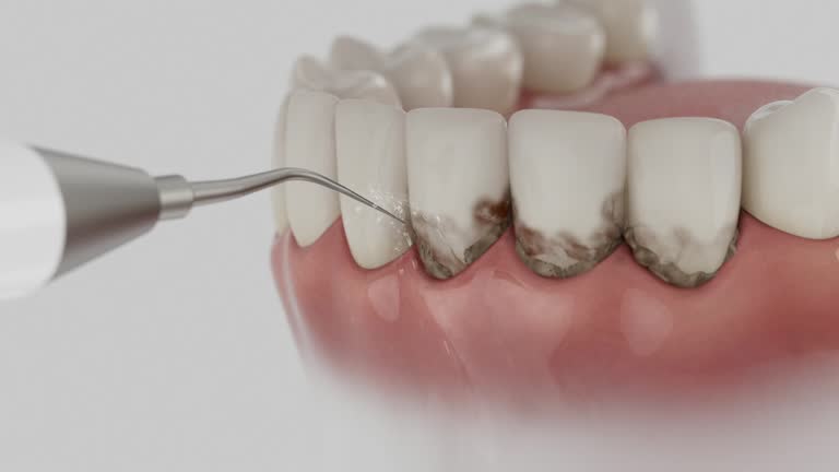 Reliable Dental contractor in Robinson, IL by Dentist Open Now